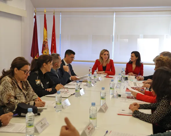 Plan Seguridad Navidad Alcorcón