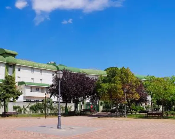 Escrito a la consejera