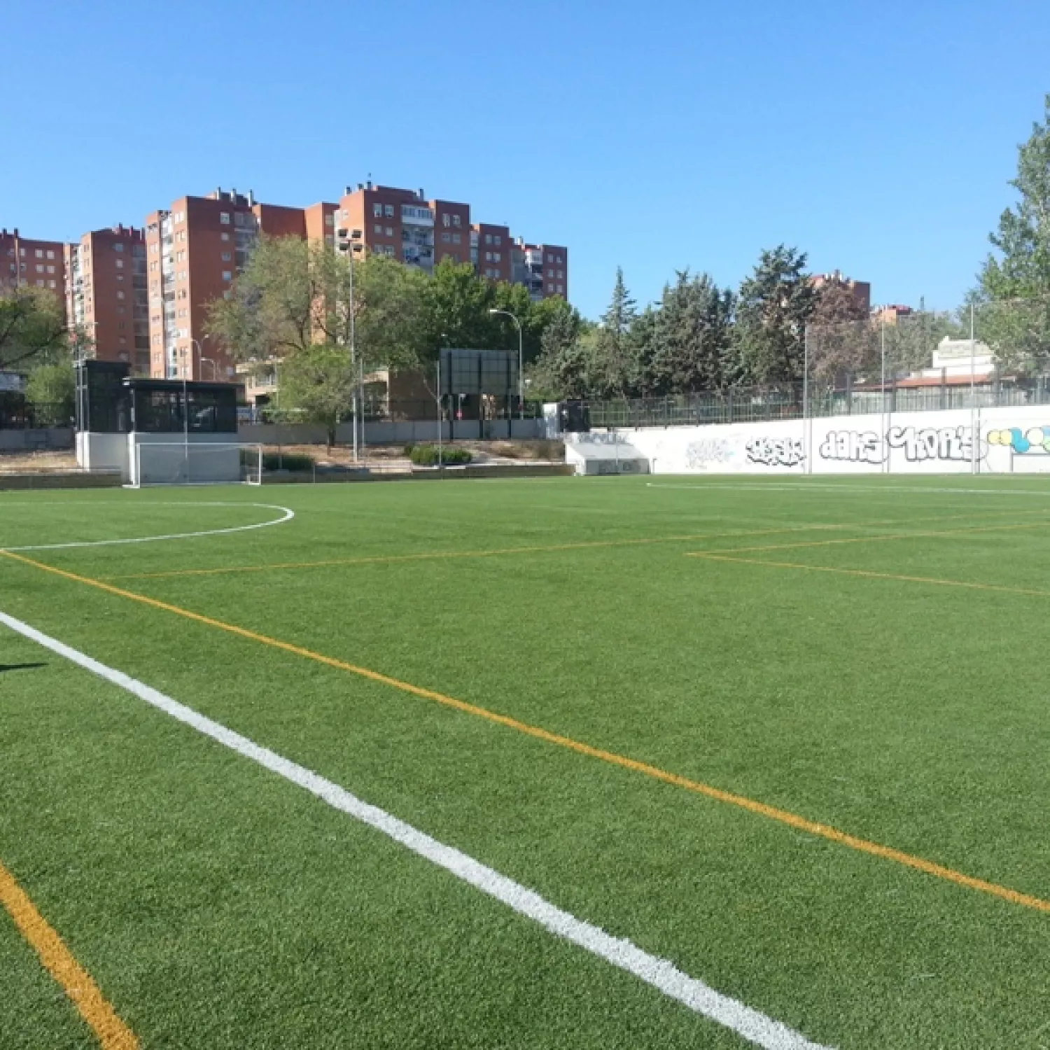 Alfredo Cenarriaga 2