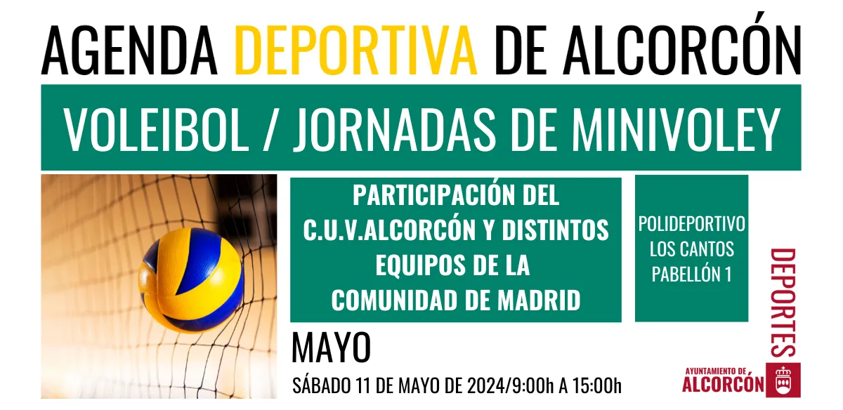 VOLEIBOL / JORNADAS DE MINIVOLEY