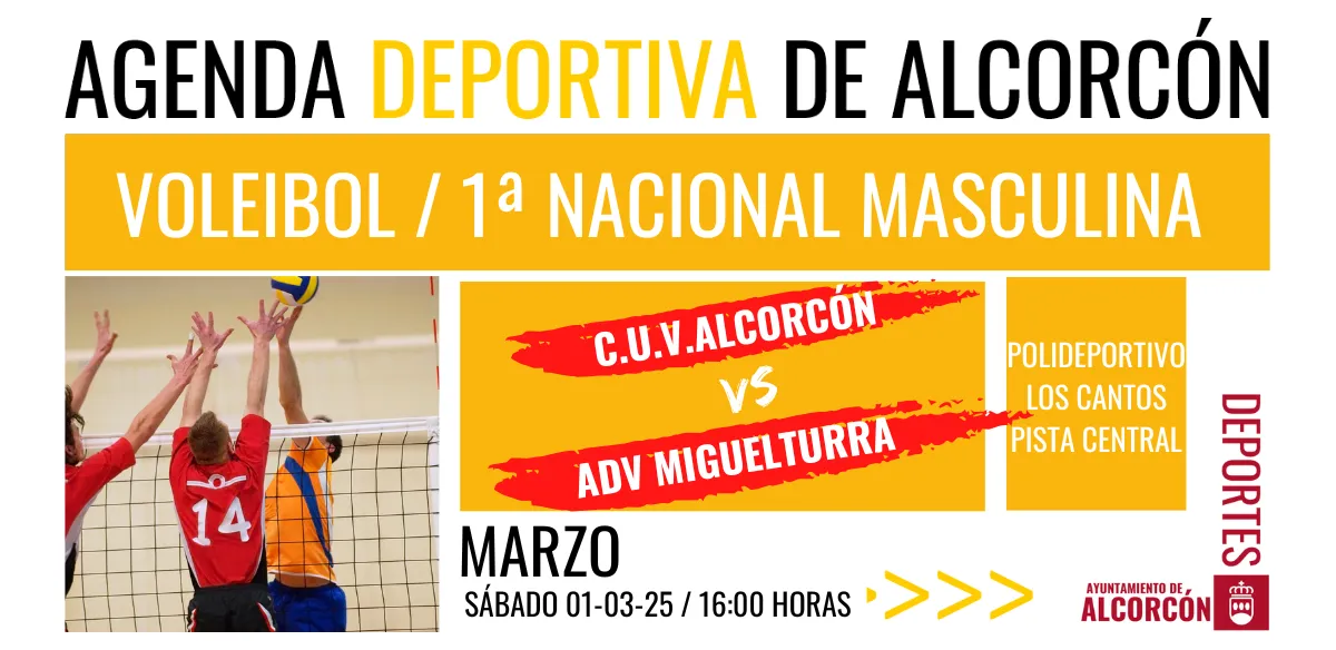 VOLEIBOL / 1ª NACIONAL MASCULINA 