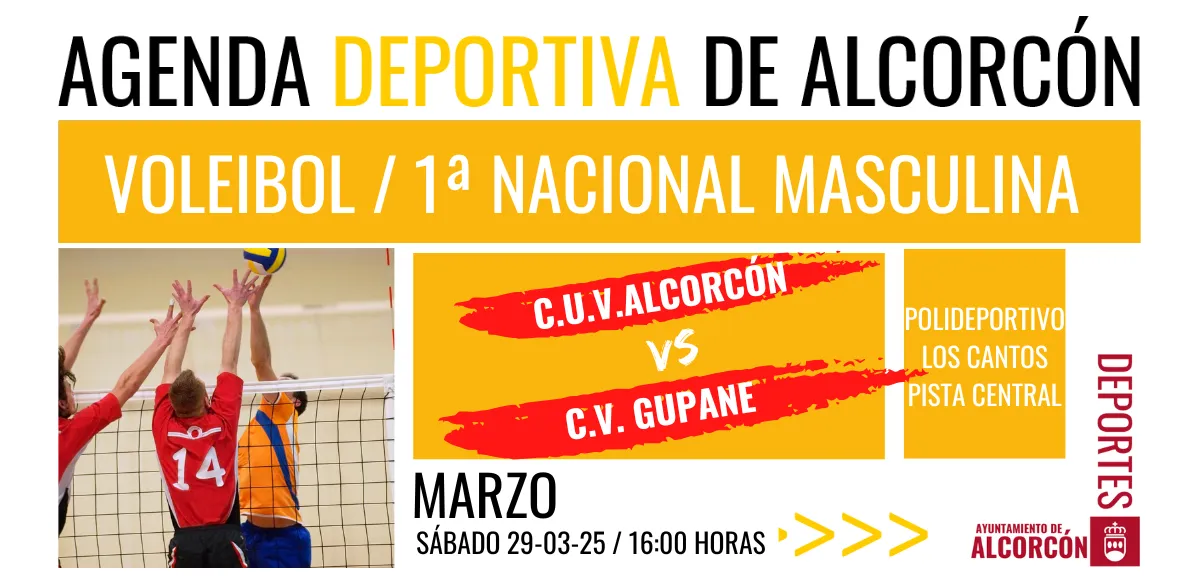 VOLEIBOL / 1ª NACIONAL MASCULINO