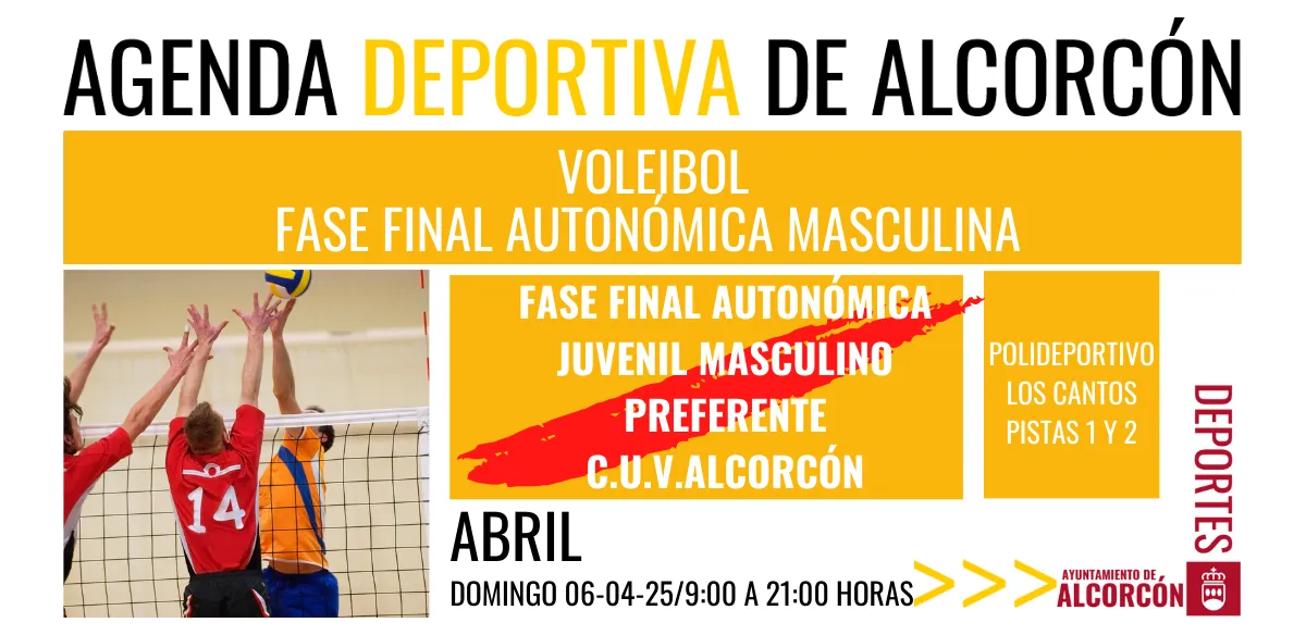 VOLEIBOL / FASE FINAL AUTONÓMICA MASCULINA