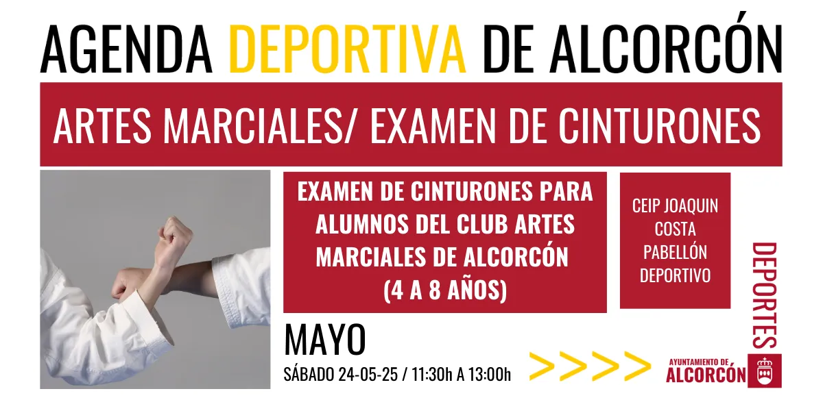 ARTES MARCIALES / EXAMEN DE CINTURONES 