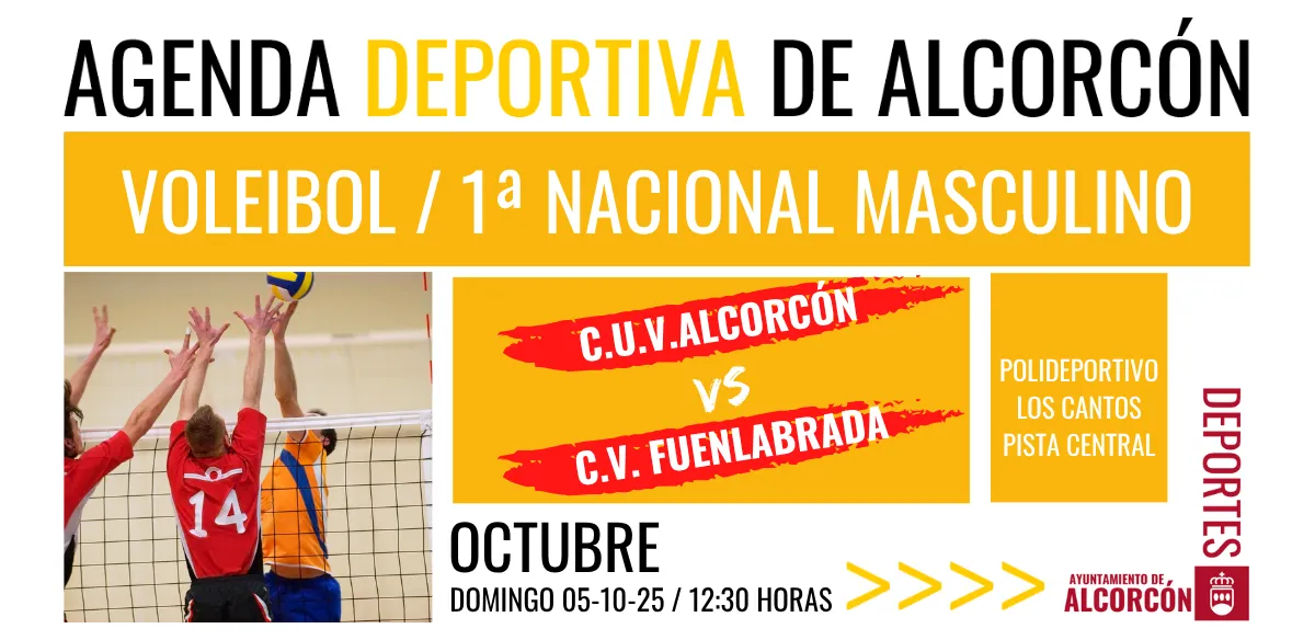 VOLEIBOL / 1ª NACIONAL MASCULINO