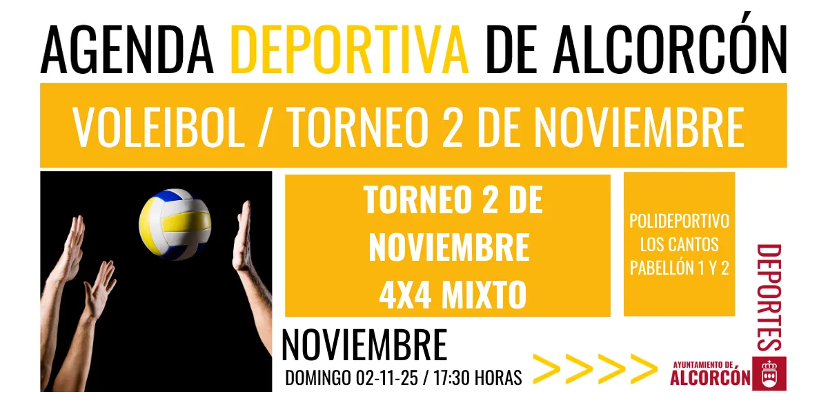 VOLEIBOL / TORNEO 2 DE NOVIEMBRE