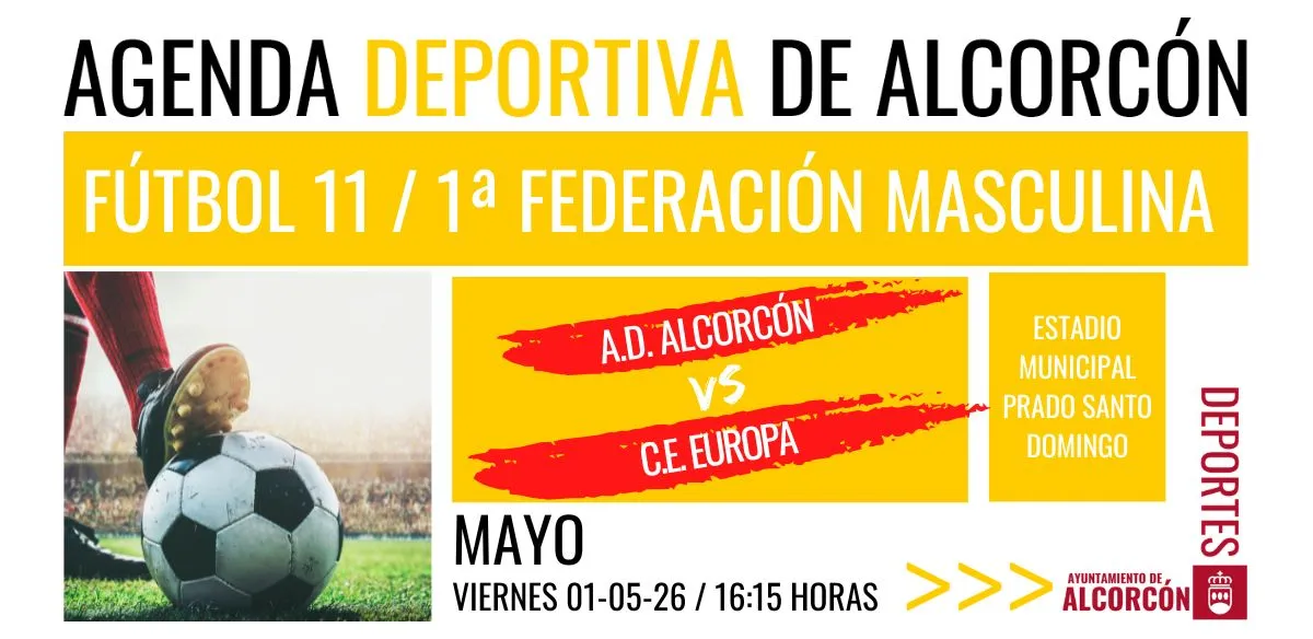 FÚTBOL 11 / 1ª FEDERACIÓN 