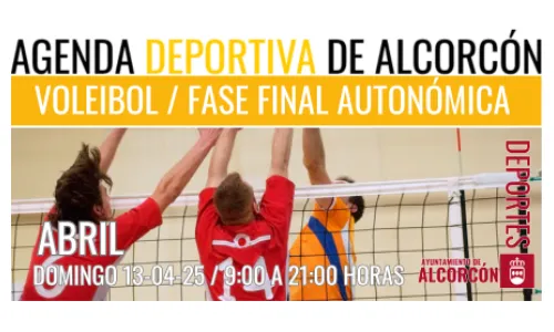 VOLEIBOL / FASE FINAL AUTONÓMICA 