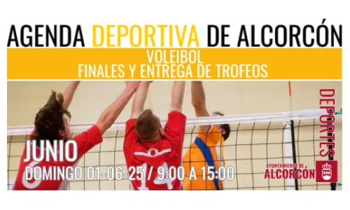 VOLEIBOL/ FINALES Y ENTREGA DE TROFEOS JJ.DD.MM