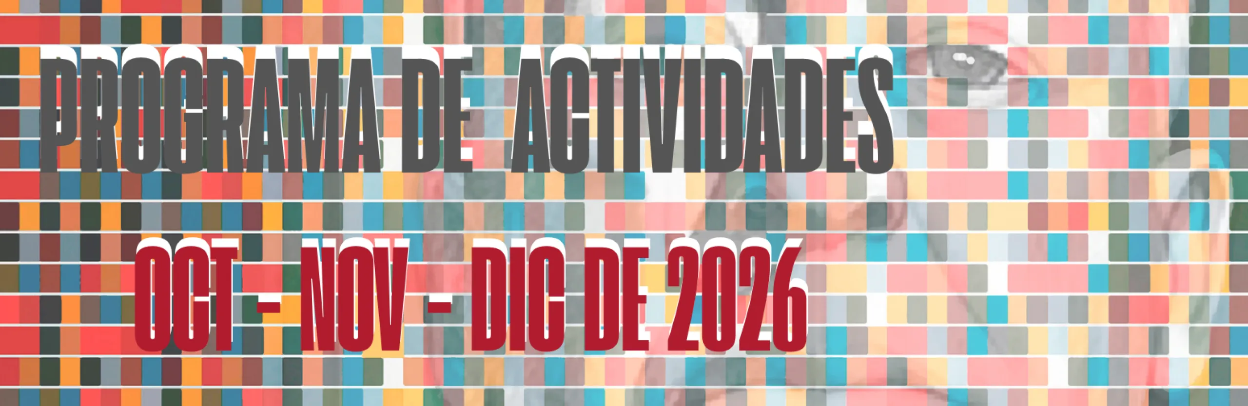 programa 4 trimestre