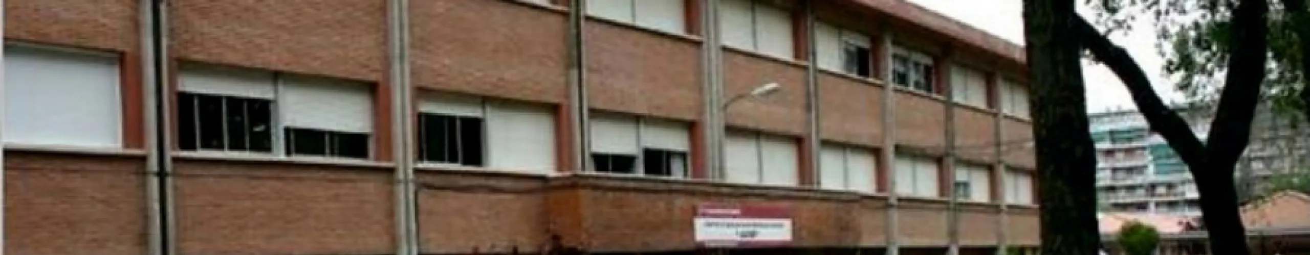 Personas Adultas Alfar