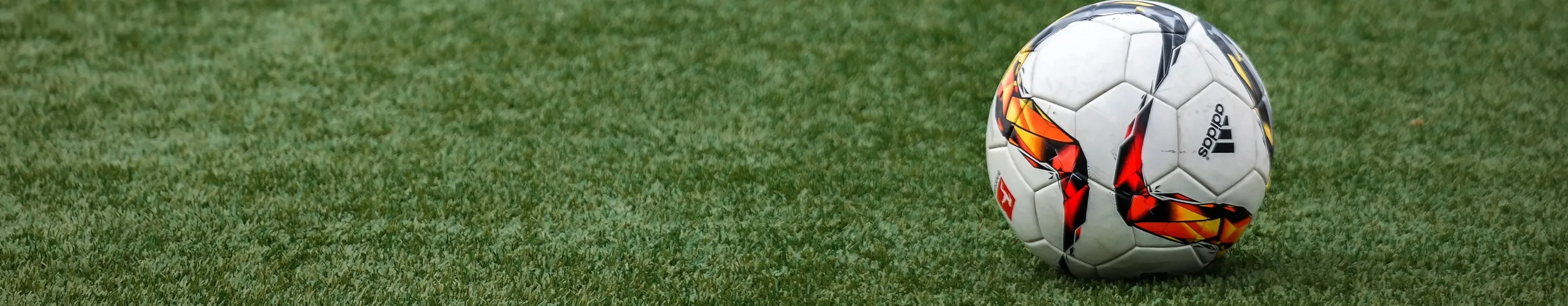 Actividades Infantiles