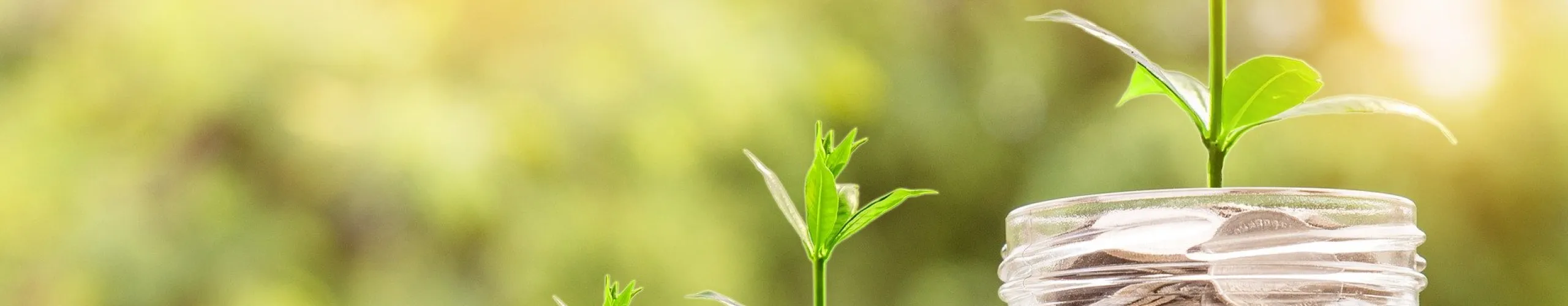 Ajutor pentru instalarea energiei solare
