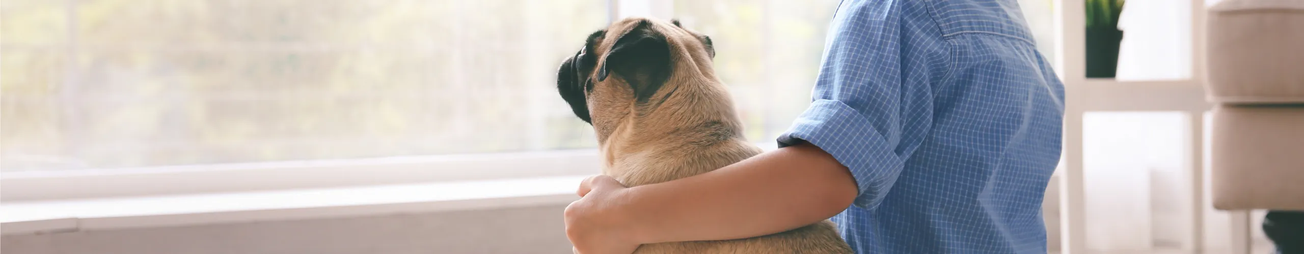 Protection des animaux