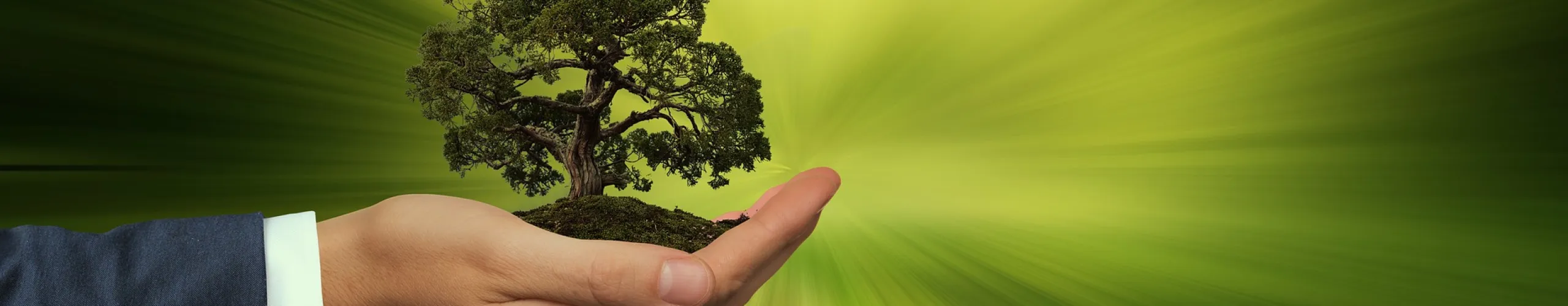 Imagen mano (grande)